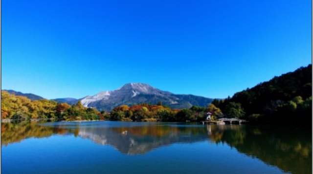 NO.11三島池のイメージ