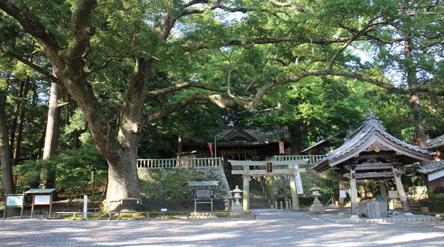 事任八幡宮のイメージ