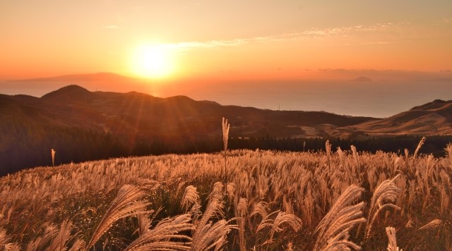 稲取細野高原のイメージ