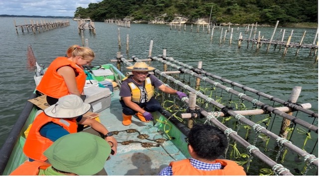 Learn about oysters from Matsushima Bay のイメージ