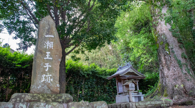 一瀬王子跡のイメージ