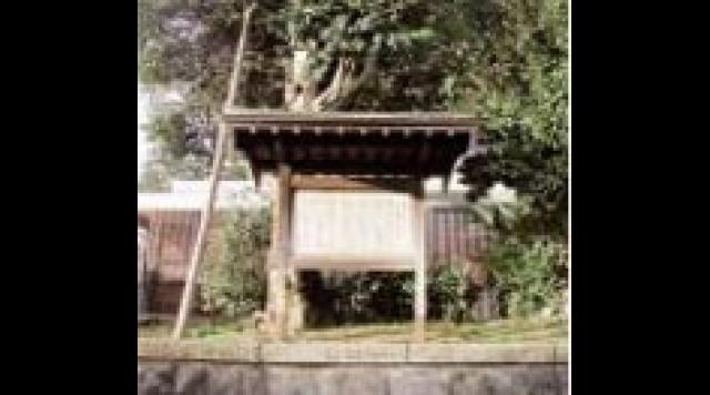 お館の椿（松岡藩史跡）のイメージ
