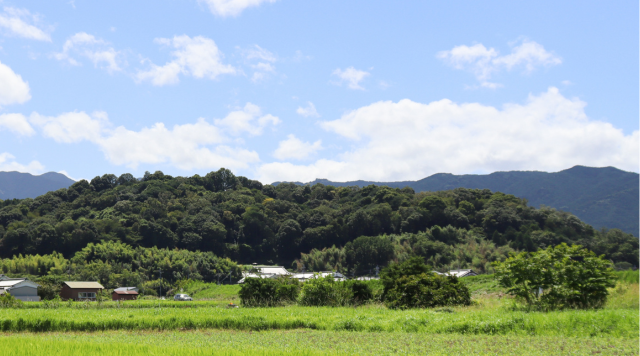 香具山のイメージ