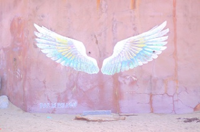 天使の羽のイメージ