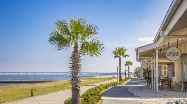 SENNAN LONG PARKのイメージ