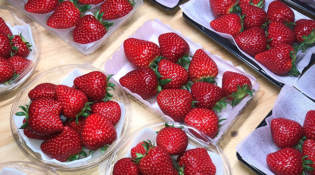 かなんのいちご畑のイメージ