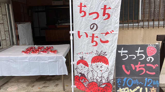 ちっちのいちご 泉本農園のイメージ