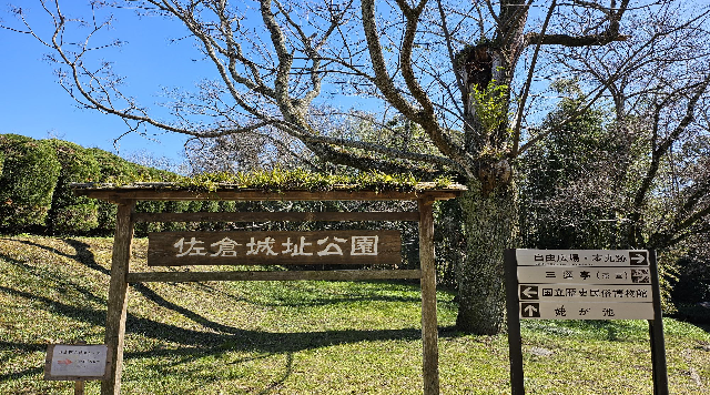 佐倉城址公園のイメージ
