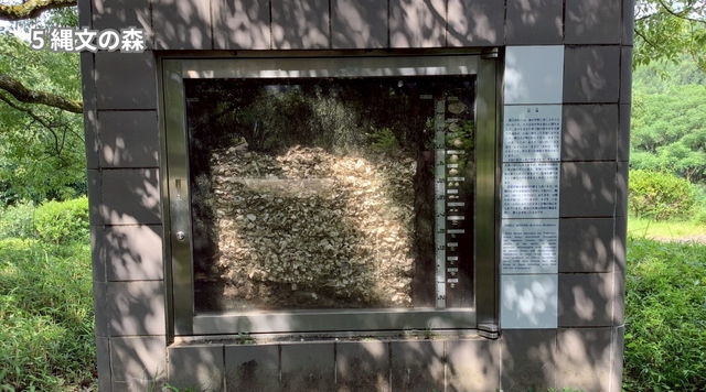 ⑤縄文の森のイメージ