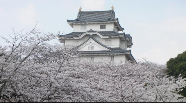 「房総の春」大多喜城下歴史とお花見ハイキング」のイメージ