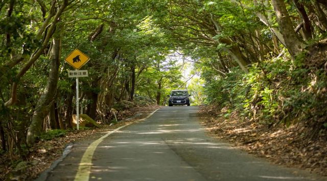 西部林道のイメージ