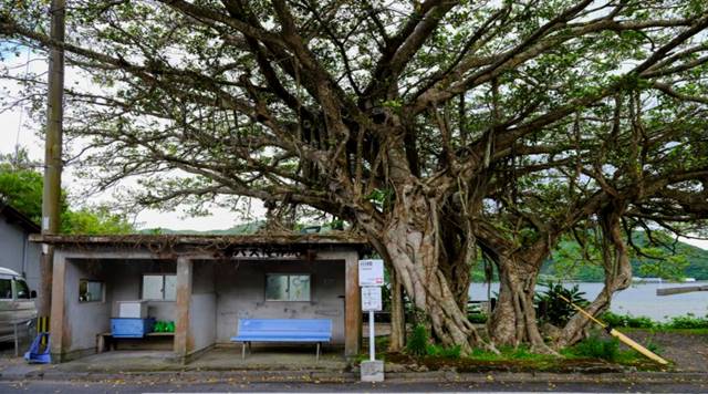 田検のバス停のイメージ