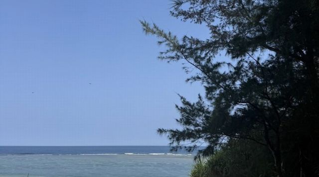 徳之島 島グルメのイメージ