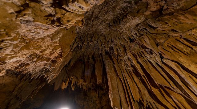 赤崎鍾乳洞のイメージ