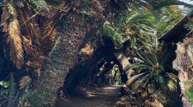 金見崎展望台のイメージ