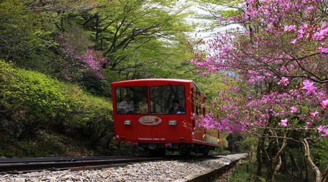 筑波山ケーブルカー　宮脇駅のイメージ