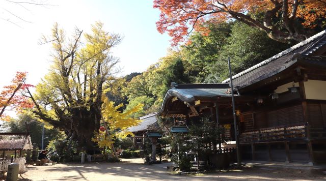 葛城一言主神社のイメージ