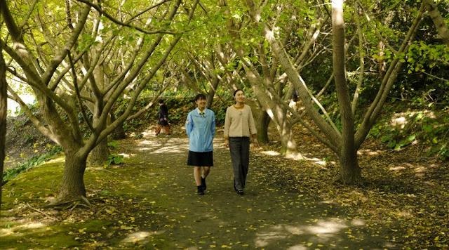 垂水千本イチョウ園のイメージ