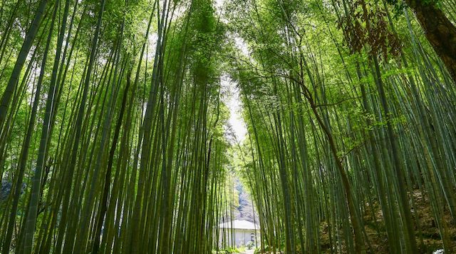 児玉美術館のイメージ
