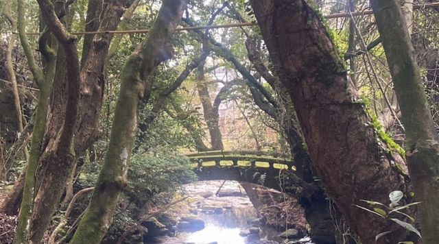 慈眼寺公園のイメージ