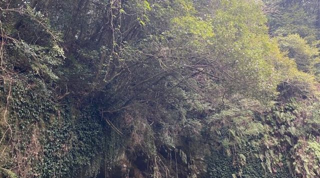 黒川洞穴遺跡のイメージ