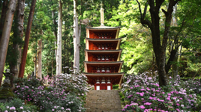 室生寺五重塔のイメージ
