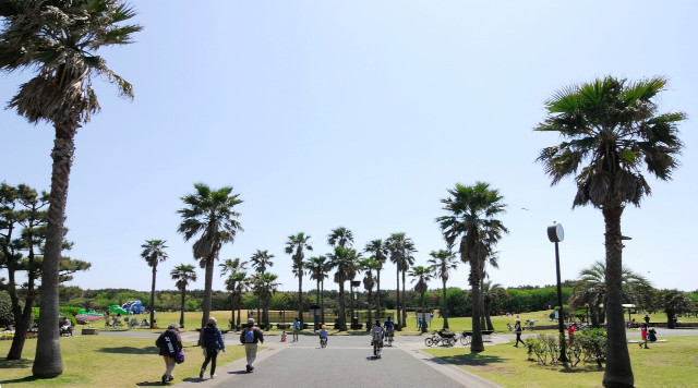 県立辻堂海浜公園のイメージ