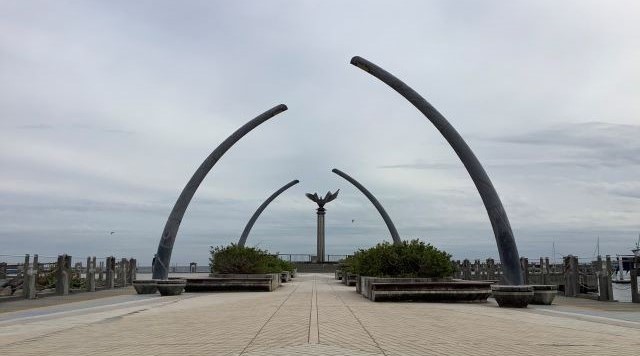 親水公園（ムーンテラス）のイメージ