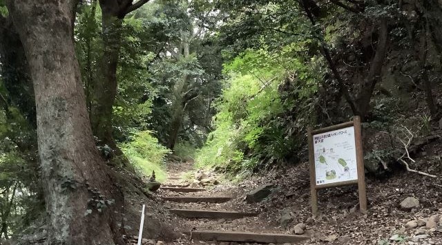 子恋の森公園のイメージ