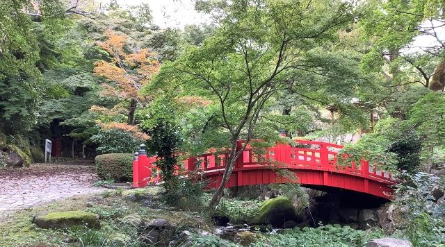 熱海梅園のイメージ