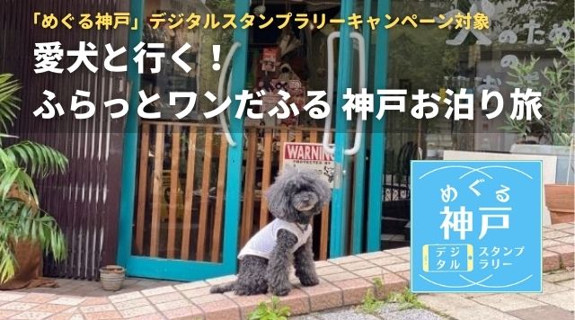 愛犬と行く！ふらっとワンだふる神戸お泊り旅のイメージ