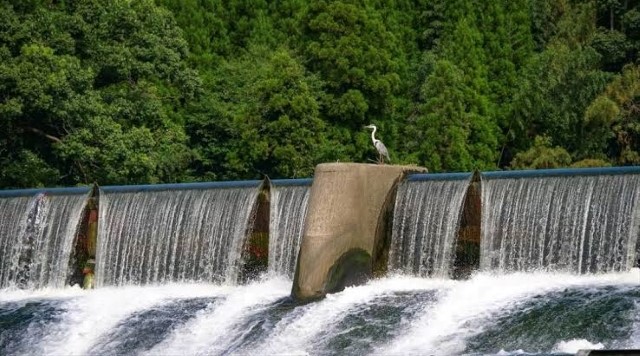 菊池川白石堰河川公園のイメージ