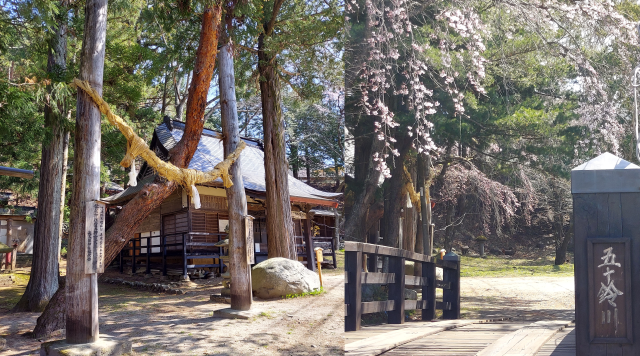 松尾神社のイメージ