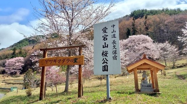 愛宕山桜公園のイメージ