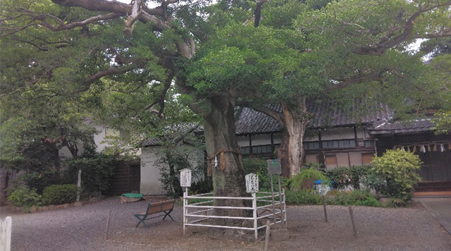 ①生根神社（いくねじんじゃ）のイメージ