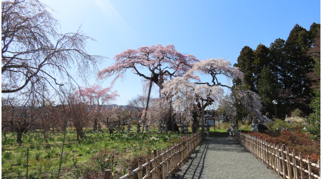 宝泉寺のイメージ