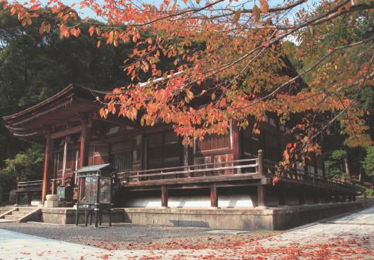 長弓寺のイメージ