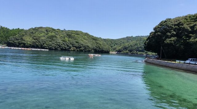 長島観光グラスボートのイメージ