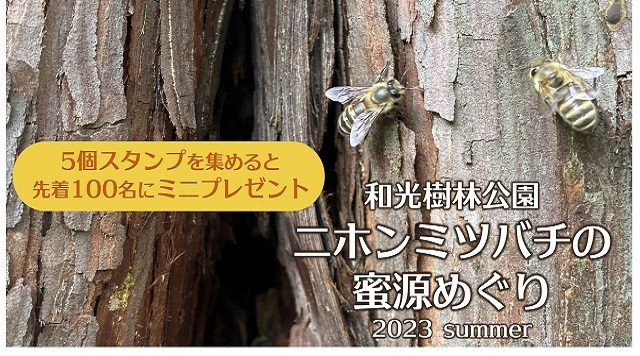 和光樹林公園　ニホンミツバチの蜜源めぐりのイメージ