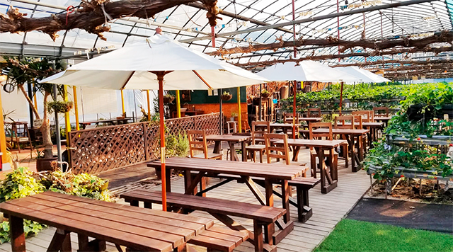 ゆきもと農園(体験・飲食)のイメージ