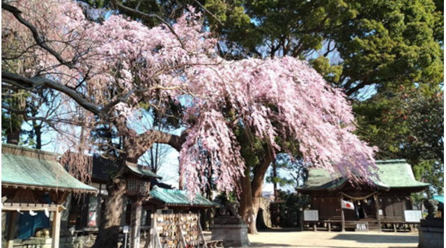 三島八幡神社のイメージ