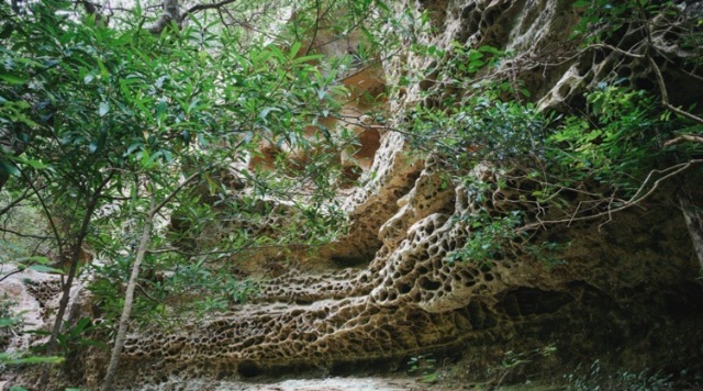 保呂の虫喰い岩のイメージ