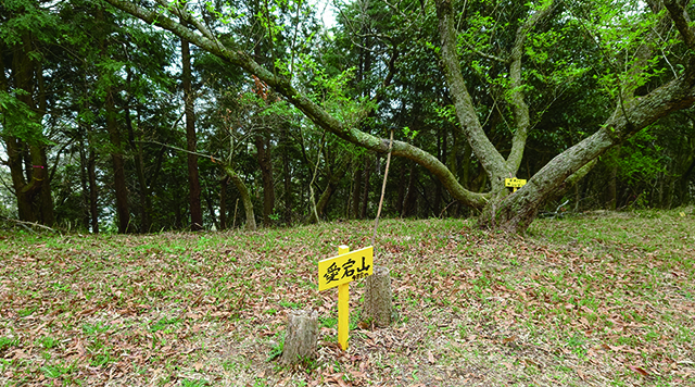 愛宕山のイメージ