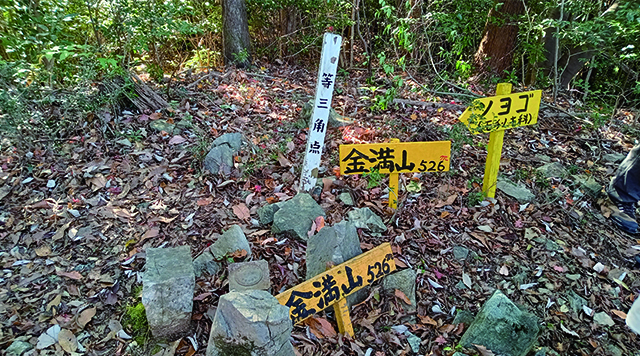 金満山のイメージ