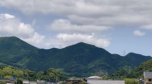 新城   のイメージ