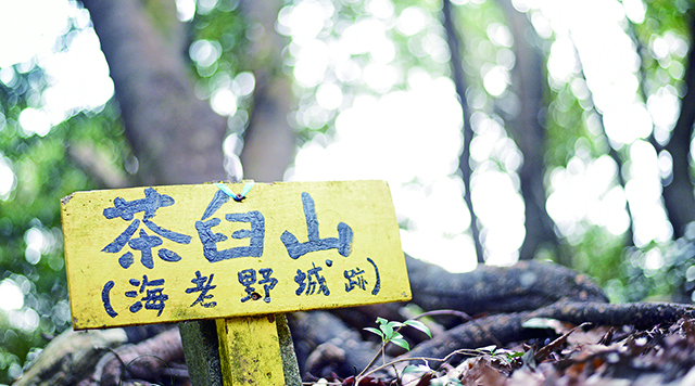 茶臼山のイメージ