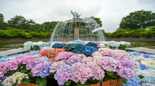 国営昭和記念公園　カナール噴水(フローティングは6月中旬～)のイメージ