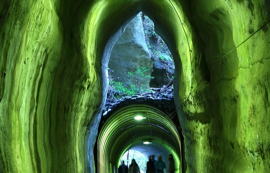 向山共栄トンネルのイメージ