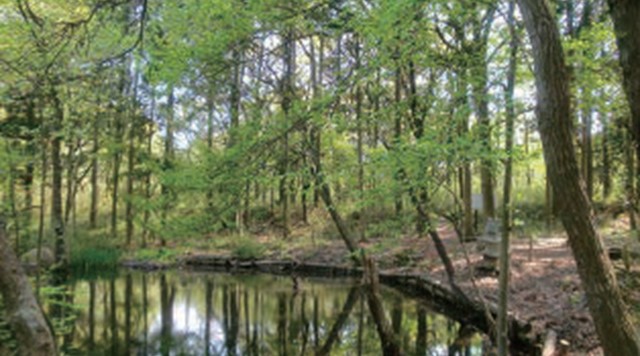 こんぶくろ池自然博物公園のイメージ