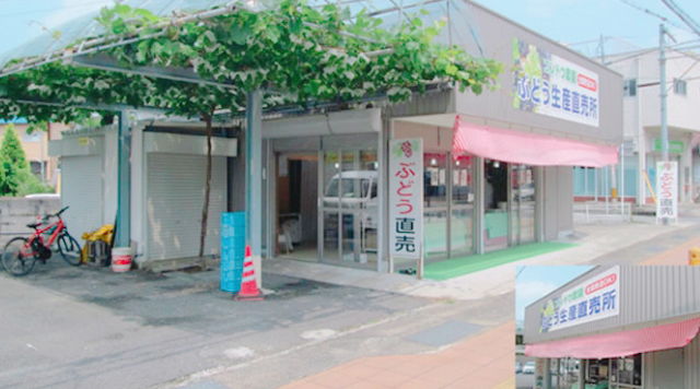 コンドウブドウ店のイメージ